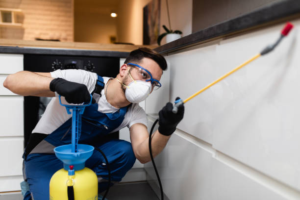 Best Cockroach Control Services  in Oakland Park, FL