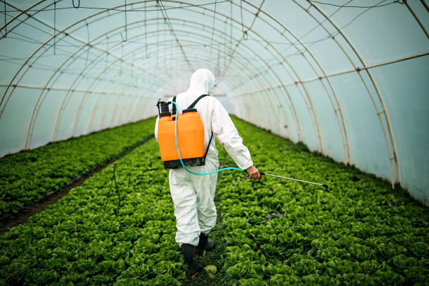 Pest Prevention Services in Oakland Park, FL