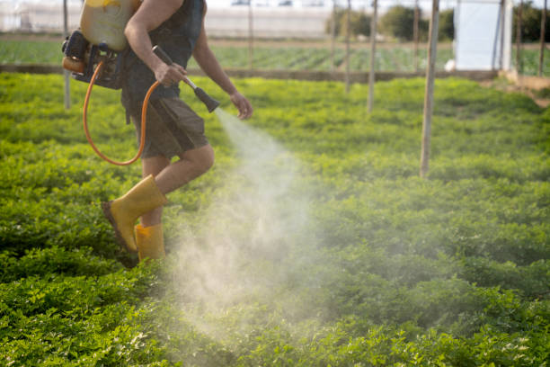 Best Emergency Pest Control  in Oakland Park, FL