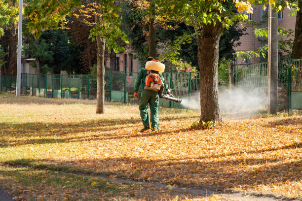 Trusted Oakland Park, FL Pest Control Experts