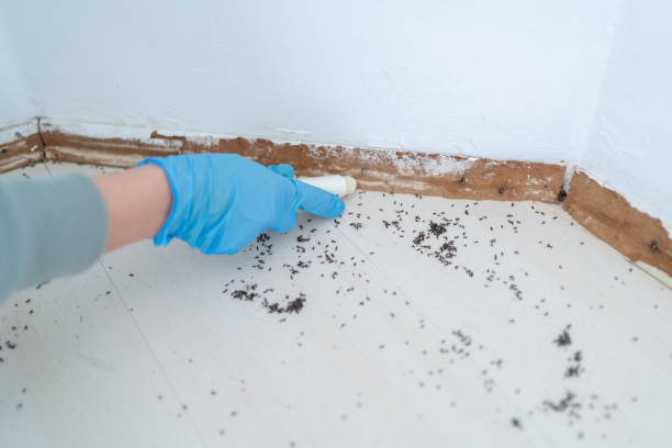 Best Pest Prevention Services  in Oakland Park, FL