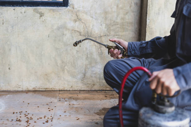 Best Termite Control Services  in Oakland Park, FL