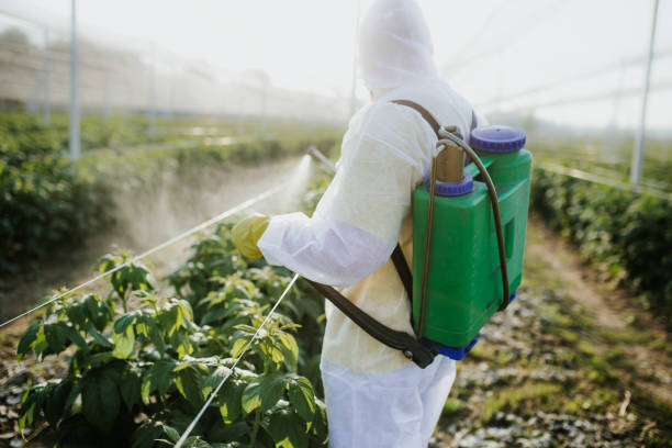 Best Local Pest Control Services  in Oakland Park, FL